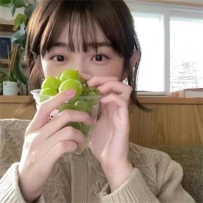 圣域第一季